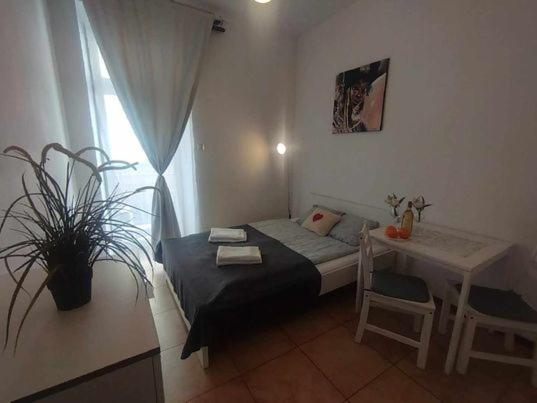 Kazimierz Poland Apartment